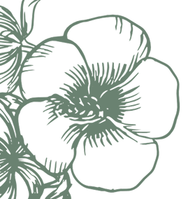 Flower Image